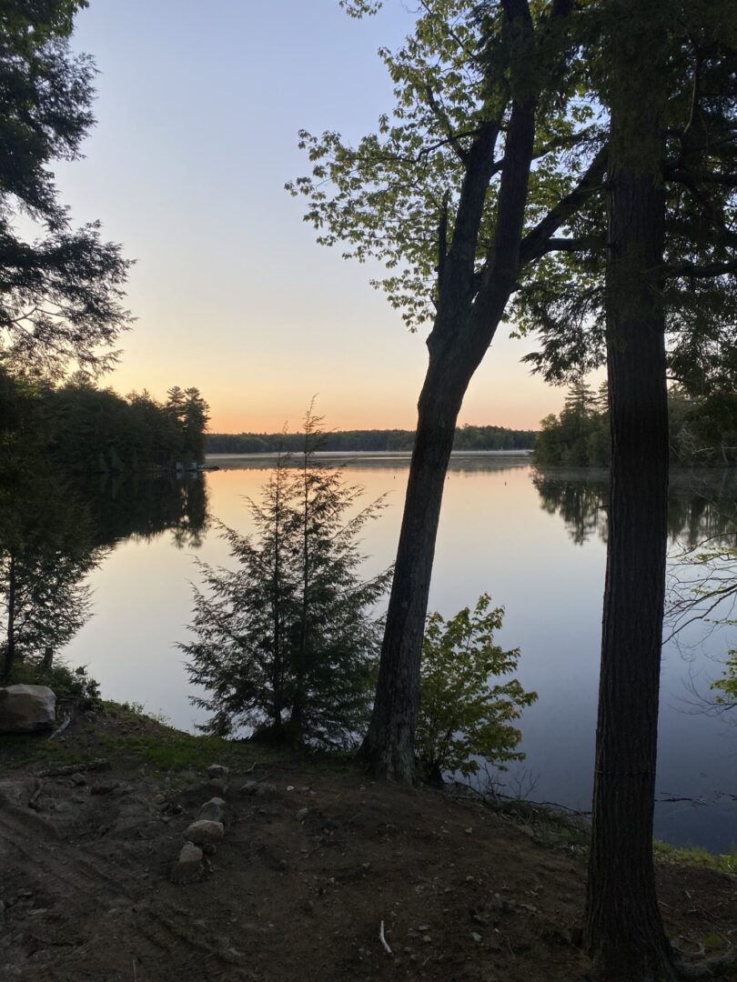 A lake with trees and water in the background