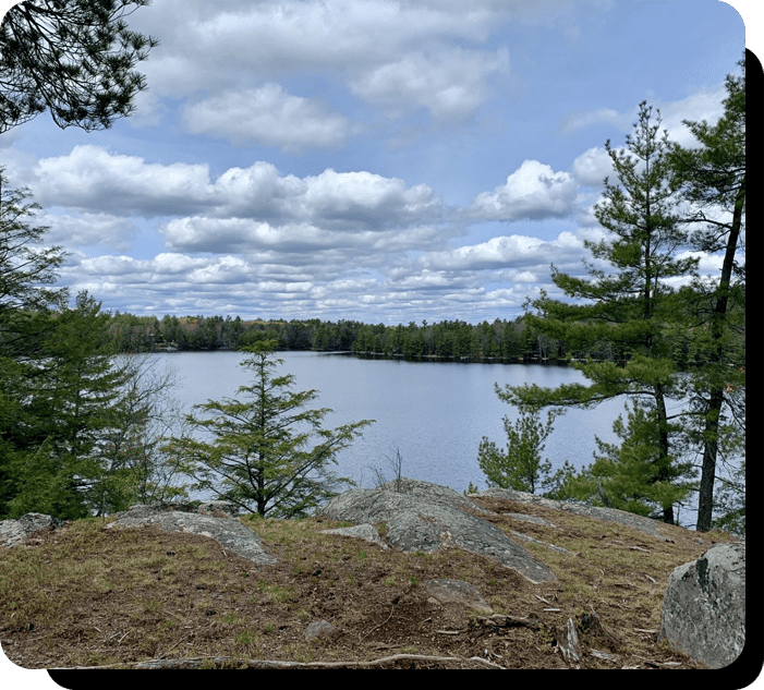 A lake with trees and clouds in the sky.